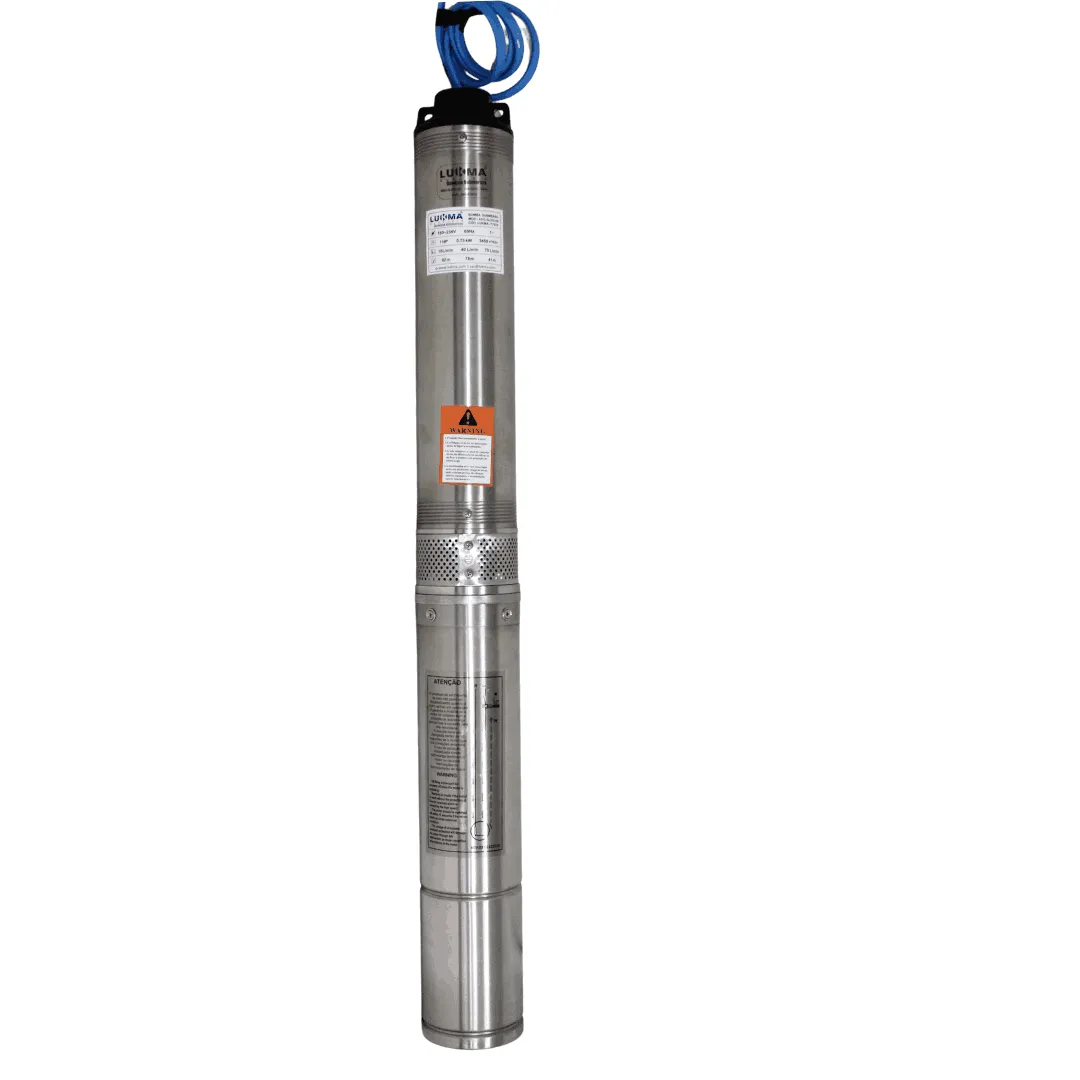 Bomba 1,0 Hp 4sg-qjd3-09 220vm