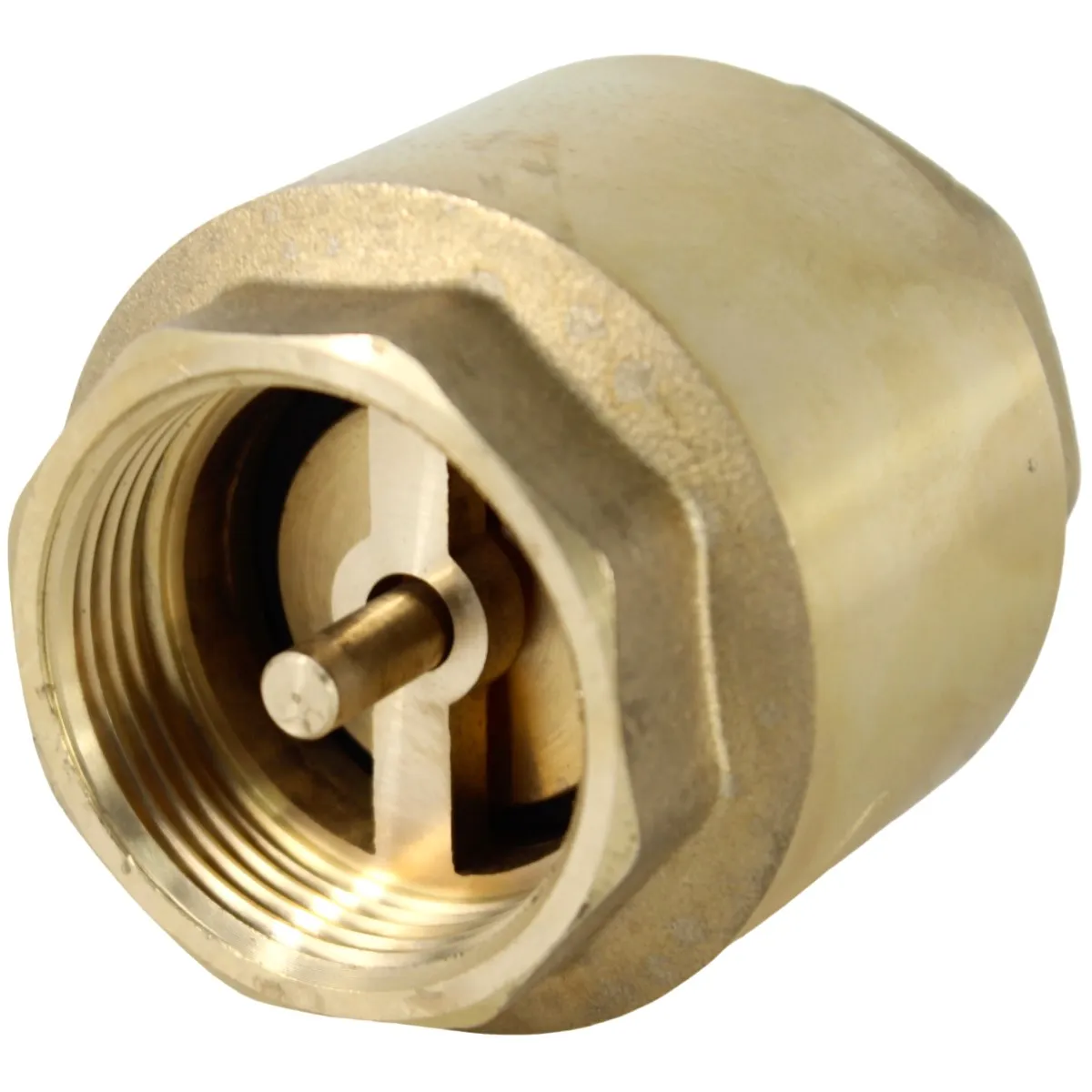 Valvula Retencao Vertical 1 1/4"